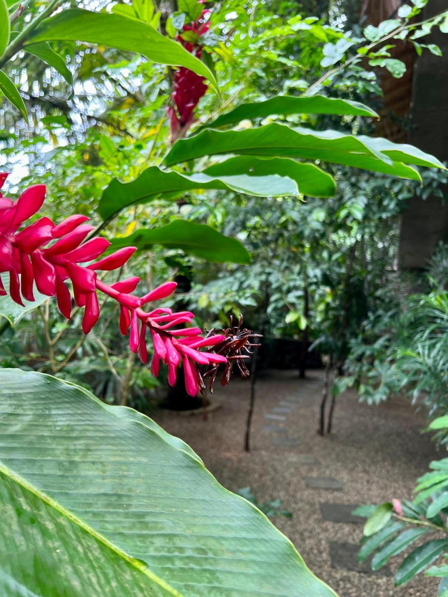 Ceylon Olive Галле Экстерьер фото