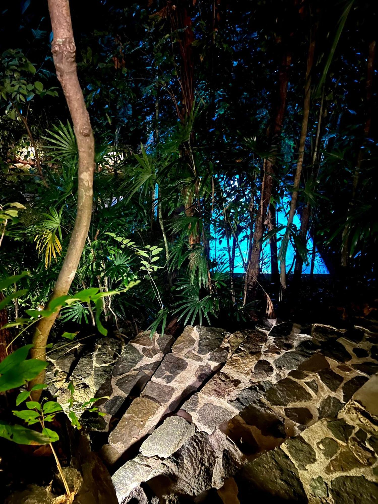 Ceylon Olive Галле Экстерьер фото
