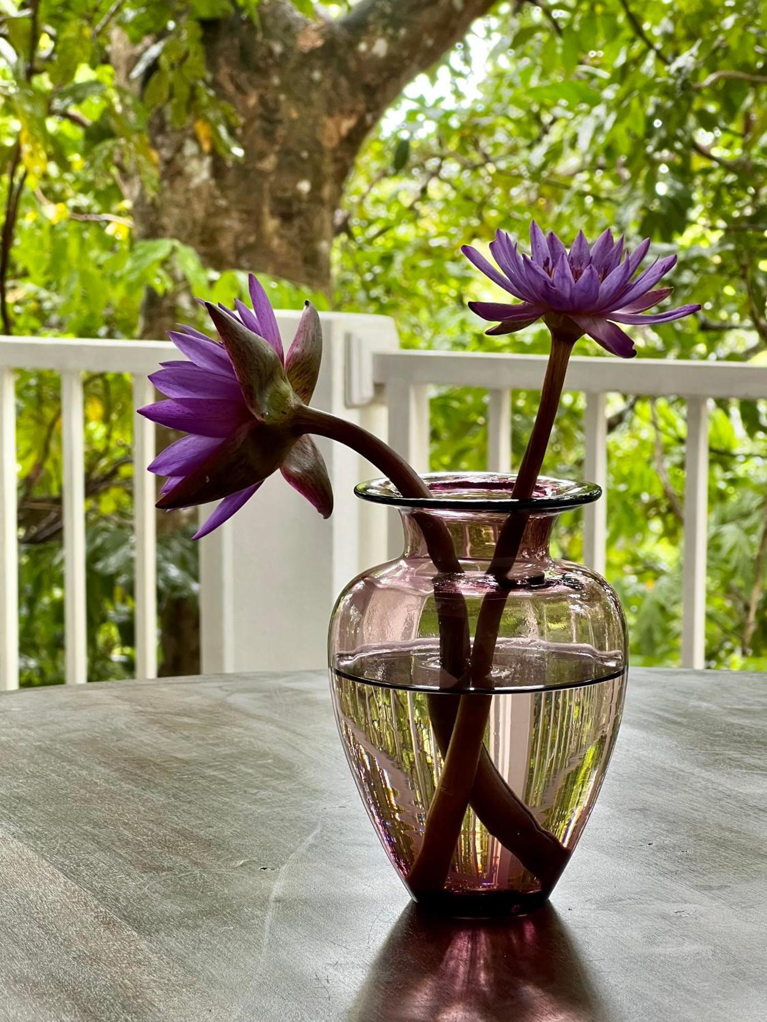 Ceylon Olive Галле Экстерьер фото