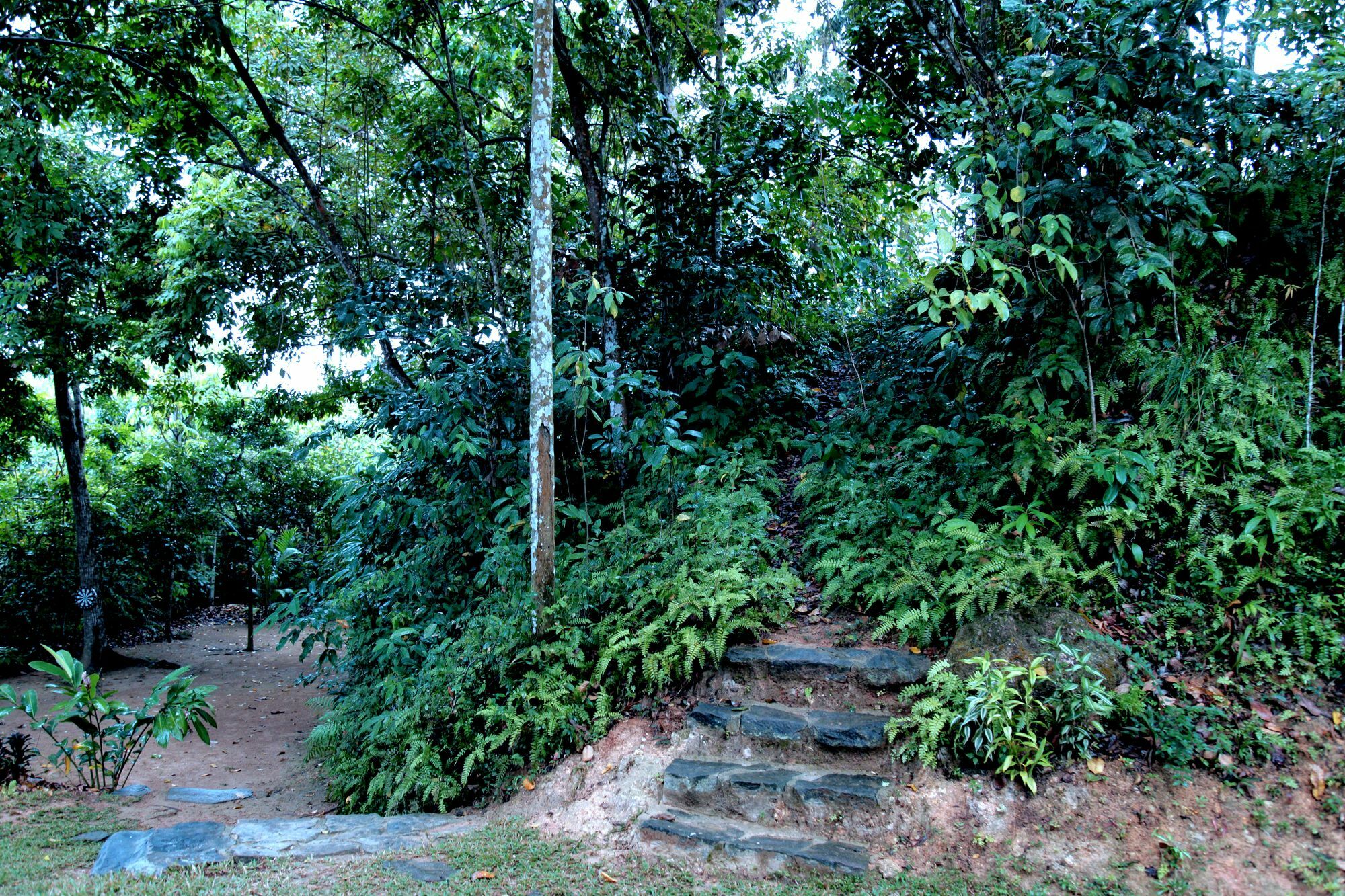 Ceylon Olive Галле Экстерьер фото