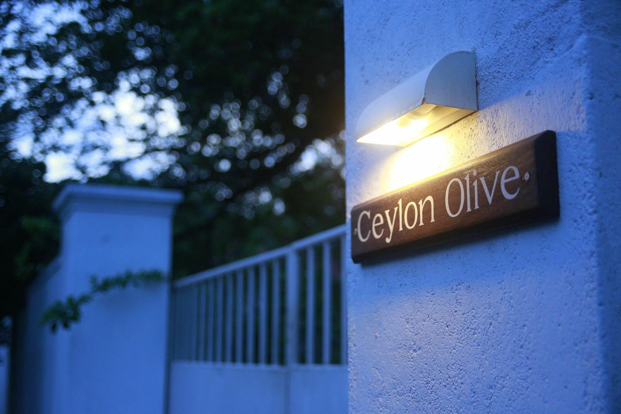 Ceylon Olive Галле Экстерьер фото